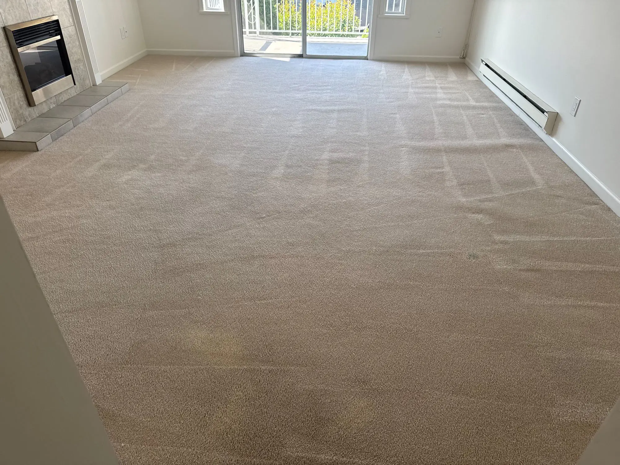 Freshly cleaned carpet in a bright and inviting living space