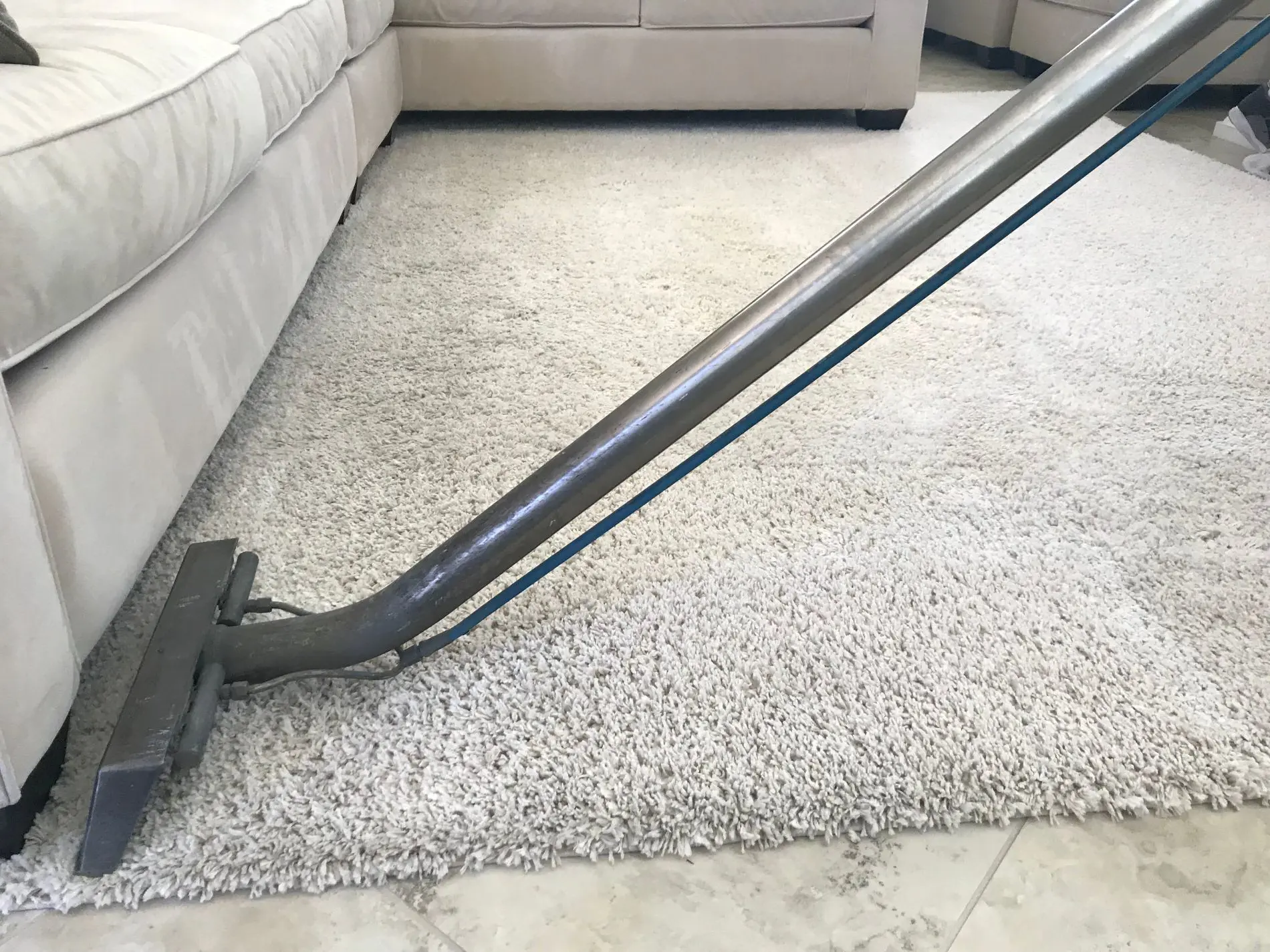 Professional carpet cleaning by Clear Choice Cleaners